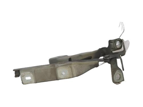 Hinge/Door check strap CITROËN C3 II (SC_) 1.6 BlueHDi 100 | BP30176095C146 