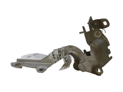Hinge/Door check strap RENAULT LAGUNA III (BT0/1) 2.0 dCi (BT01, BT08, BT09, BT0E, BT0K, BT12, BT1C, BT1D,... | BP29142008C146 