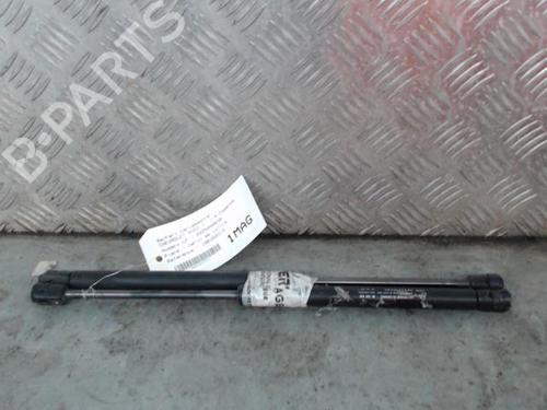 Tailgate lift support CHEVROLET AVEO / KALOS Hatchback (T250, T255) 1.4 | BP26431142C138 