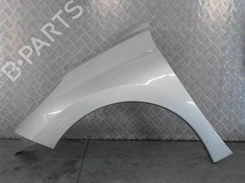 Used Left front fenders PEUGEOT 207 (WA_, WC_) 1.6 HDi (90 hp) 30046059