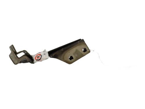 Hinge/Door check strap RENAULT MEGANE II (BM0/1_, CM0/1_) 1.9 dCi | BP28451561C146 