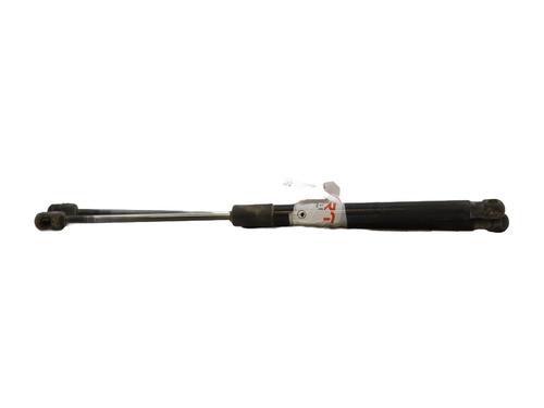 Used Tailgate lift support RENAULT MEGANE III Hatchback (BZ0/1_, B3_) 1.5 dCi (BZ0C) (90 hp) 29161709