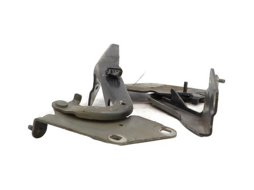 Hinge/Door check strap RENAULT MEGANE III Hatchback (BZ0/1_, B3_) 1.5 dCi (BZ09, BZ0D, BZ1W, BZ29, BZ14) | BP29402329C146 