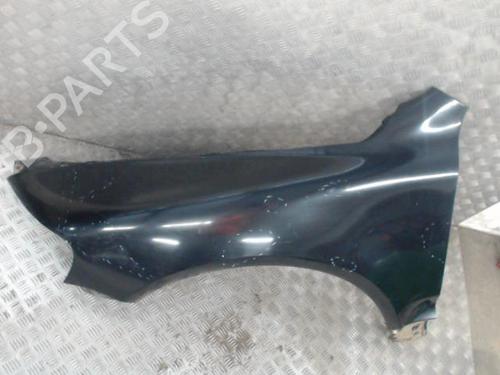 Left front fenders VW TOUAREG (7LA, 7L6, 7L7) 2.5 R5 TDI | BP24476191C41 