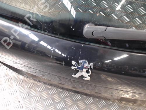 Used Tailgate PEUGEOT 207 (WA_, WC_) 1.6 HDi (90 hp) 23836965