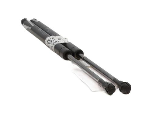 Used Tailgate lift support ABARTH 500 / 595 / 695 1.4 (312.AXY11, 312.AXY1A) (145 hp) 29480715