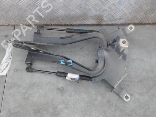 Used Hinge/Door check strap RENAULT SCÉNIC III (JZ0/1_) 1.6 dCi (JZ00, JZ12) (130 hp) 29007116