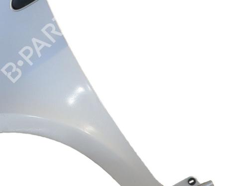 Guarda-lamas esquerdo Guarda-lamas esquerdo RENAULT CLIO III (BR0/1, CR0/1) [2005-2014] 33876183 33876183