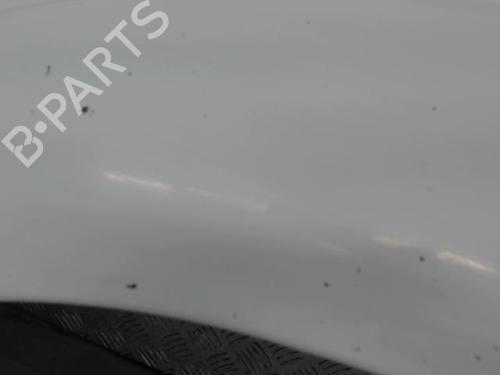 Left front fenders MERCEDES-BENZ SPRINTER 3,5-t Van (B906) 316 CDI (906.631, 906.633, 906.635, 906.637) | BP30123938C41