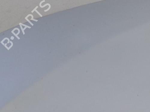 Hood RENAULT MEGANE III Coupe (DZ0/1_) 1.9 dCi (DZ0N, DZ0J, DZ1J, DZ1K) | BP29451842C1 