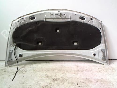 Hood RENAULT CLIO III (BR0/1, CR0/1) 1.5 dCi | BP23051970C1 