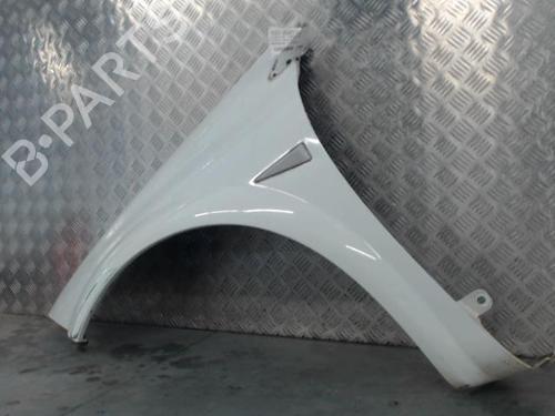 Aleta delantera izquierda RENAULT MEGANE II (BM0/1_, CM0/1_) 1.5 dCi (BM02, BM13, BM2A, CM02, CM13) | BP29253652C41 