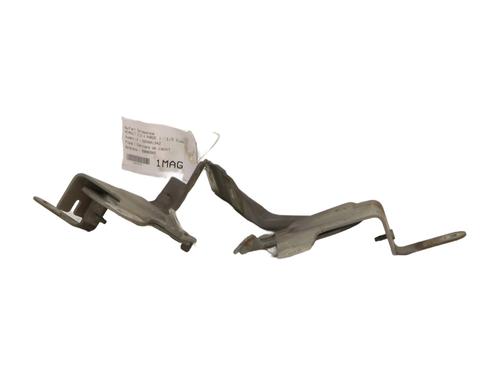 Hinge/Door check strap RENAULT CLIO IV (BH_) 1.5 dCi 75 | BP23842856C146 