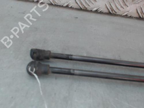 tailgate-lift-support-citroen-c3-ii-sc_-2009-29253628 main image