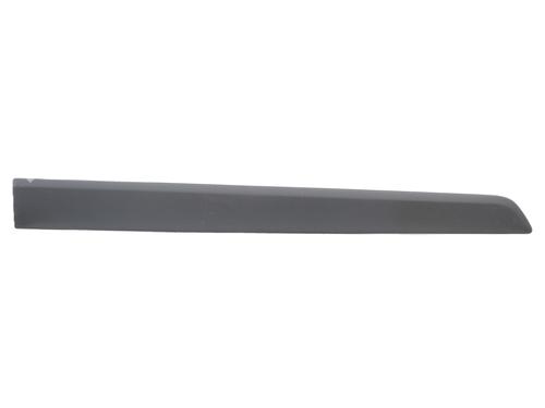 door-moulding-trim-renault-kangoo-express-fw01_-2008-38776524 main image