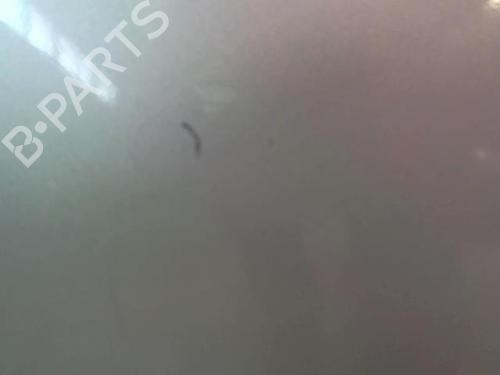 Right front door VW GOLF PLUS V (5M1, 521) 1.9 TDI | BP23051134C3 