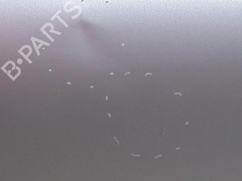 Left rear door CITROËN C3 III (SX) 1.6 BlueHDi 75 | BP31991566C4 