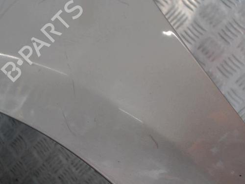 Left front fenders RENAULT CLIO III (BR0/1, CR0/1) 1.2 16V Hi-Flex (BR1U, CR1U) | BP29340005C41 
