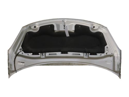 hood-citroen-c3-ii-sc_-2009-36255922 main image