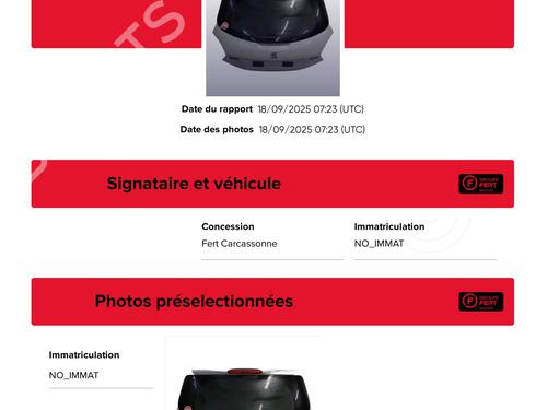 Tailgate PEUGEOT 208 I (CA_, CC_) 1.6 HDi / BlueHDi 75 | BP28976678C6 