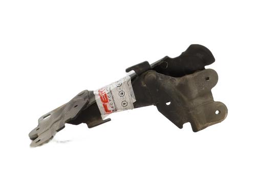 Hinge/Door check strap RENAULT LAGUNA II Grandtour (KG0/1_) 1.9 dCi | BP29323901C146 