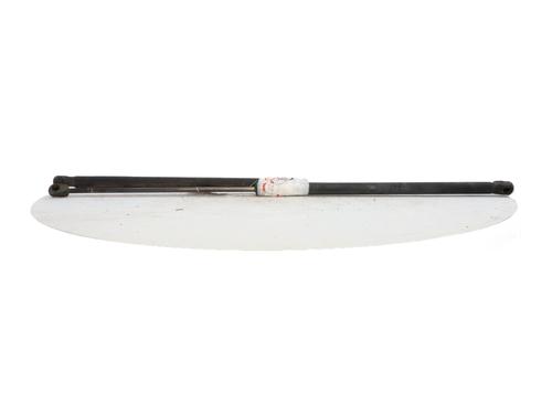 Tailgate lift support RENAULT MEGANE III Coupe (DZ0/1_) 1.9 dCi (DZ0N, DZ0J, DZ1J, DZ1K) | BP29340019C138 