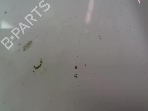 Hood RENAULT CLIO III (BR0/1, CR0/1) 1.5 dCi | BP23051970C1 