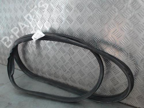 Rubber door seal RENAULT CLIO III (BR0/1, CR0/1) 1.5 dCi (C/BR0G, C/BR1G) | BP26946450C142 