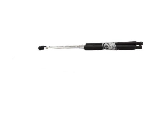 Used Tailgate lift support RENAULT CLIO III (BR0/1, CR0/1) 1.5 dCi (BR17, CR17) (86 hp) 27343079