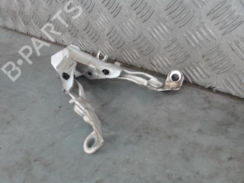 hingedoor-check-strap-citroen-c3-picasso-sh_-2008-27684059 main image