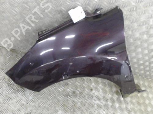 Left front fenders FORD FIESTA VI (CB1, CCN) 1.25 | BP24956022C41 