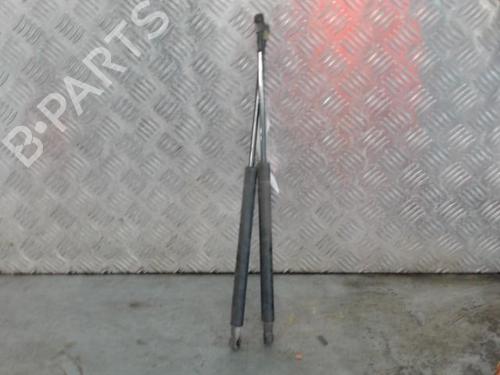 tailgate-lift-support-fiat-punto-199_-2012-26027103 main image