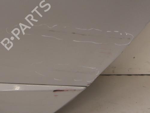 Left rear door RENAULT SCÉNIC III (JZ0/1_) 1.5 dCi (JZ02, JZ0R) | BP23839883C4 