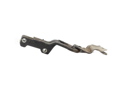 Hinge/Door check strap RENAULT CLIO III (BR0/1, CR0/1) 1.5 dCi (BR17, CR17) | BP26573428C146 