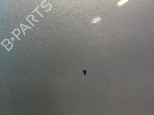 Right front door VW GOLF PLUS V (5M1, 521) 1.9 TDI | BP23051134C3 