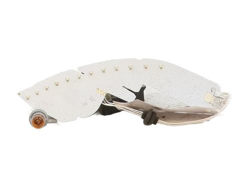 Used Lamp holder RENAULT CLIO V (B7_) 1.0 TCe 90 (B7MT) (91 hp) 30704513