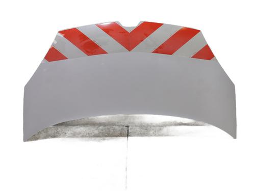 Used Hood RENAULT KANGOO Express (FW0/1_) 1.5 dCi 90 (FW0G, FW05, FW08, FW11) (90 hp) 31038789