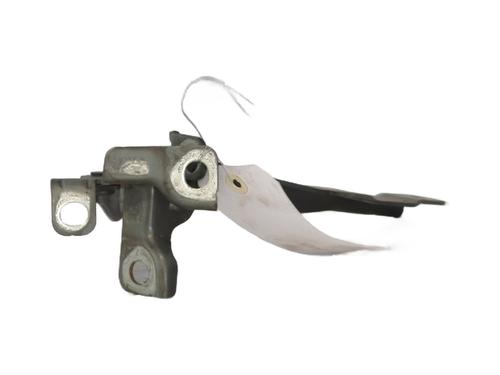 Hinge/Door check strap CITROËN C3 II (SC_) 1.6 BlueHDi 100 | BP30176095C146 