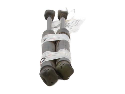 Used Tailgate lift support RENAULT CLIO III Grandtour (KR0/1_) 1.5 dCi (KR0G) (68 hp) 29315821