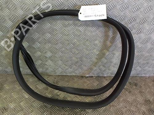 Used Rubber door seal RENAULT RAFALE Coupe (DGM_) [2023-2025]  23053102