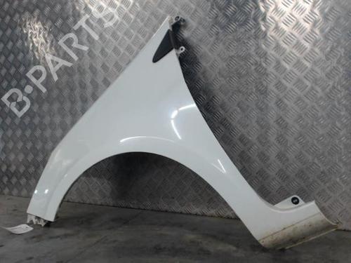 Left front fenders RENAULT CLIO III (BR0/1, CR0/1) 1.5 dCi (C/BR0G, C/BR1G) | BP29477066C41 