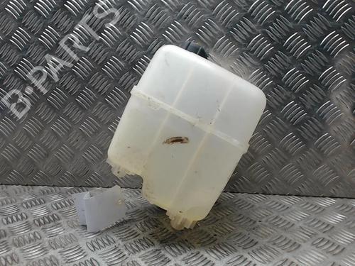 Expansion tank RENAULT KANGOO Express (FW0/1_) Z.E. (FW0Z, FW1Z) | BP23048617C120 