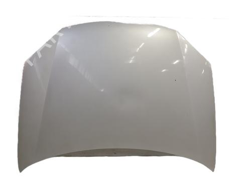 Used Hood VW GOLF V (1K1) 1.9 TDI (105 hp) 28540560