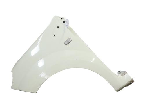 Used Left front fenders RENAULT TWINGO II (CN0_) 1.5 dCi 75 (75 hp) 25288067