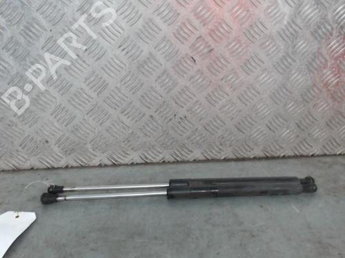 Used Tailgate lift support RENAULT CLIO III (BR0/1, CR0/1) 1.5 dCi (BR17, CR17) (86 hp) 27699173
