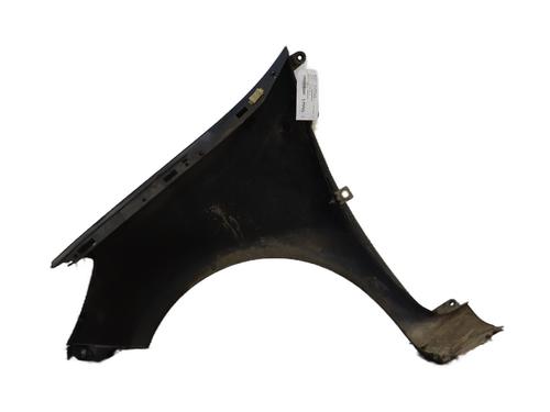 Right front fenders RENAULT CLIO III (BR0/1, CR0/1) 1.5 dCi (BR17, CR17) | BP25653067C42 