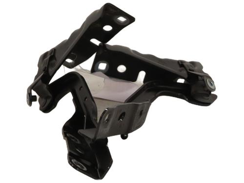 hingedoor-check-strap-renault-rafale-coupe-dgm_-2023-23052940 main image