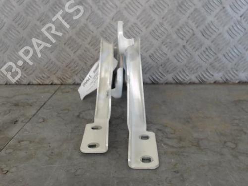 Hinge/Door check strap FIAT 500 (312_) 1.2 (312AXA1A) | BP29519760C146 