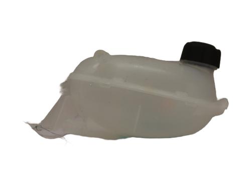 Expansion tank RENAULT EXPRESS Box Body/MPV  | BP23840310C120