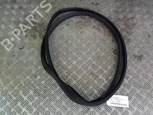 rubber-door-seal-renault-rafale-coupe-dgm_-2023-28330009 main image